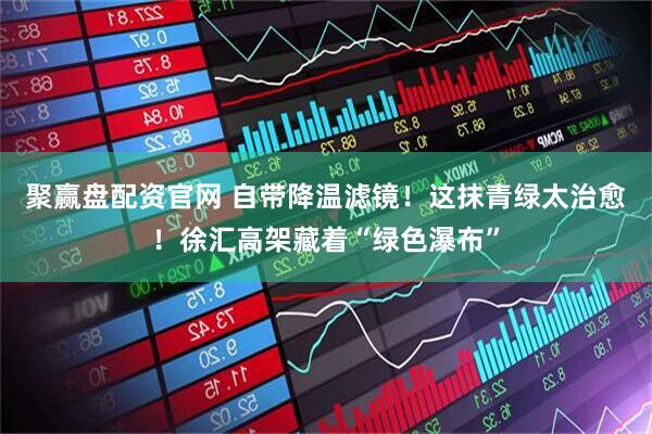 聚赢盘配资官网 自带降温滤镜！这抹青绿太治愈！徐汇高架藏着“绿色瀑布”
